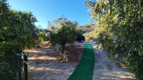 Foto 3 de Finca rústica en venda a Izbor, Sin N, El Pinar, Granada