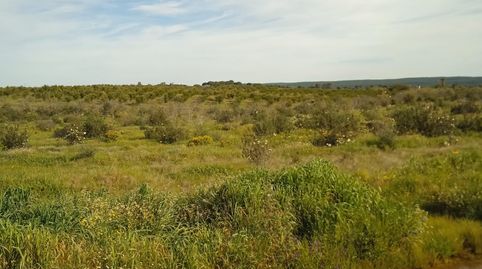 Foto 2 von Grundstücke zum Verkauf in N-232, 25, Doctor Cerrada, Zaragoza Capital