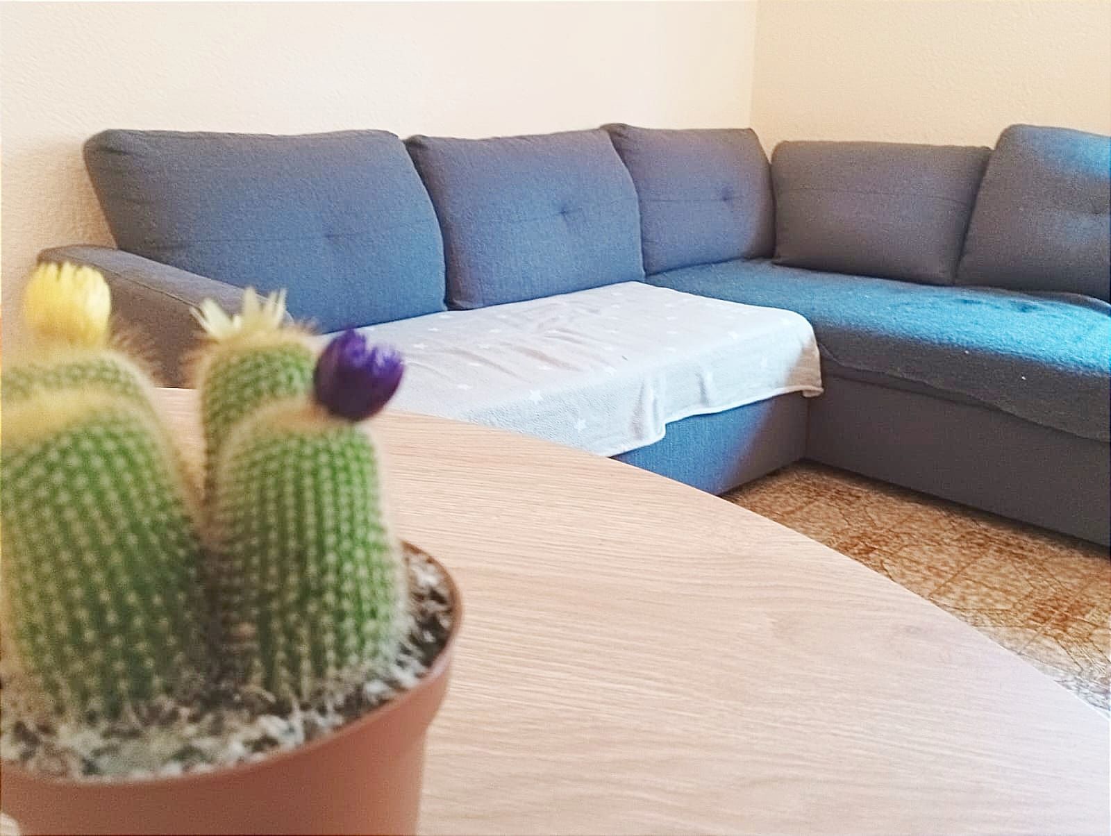 Living room of Flat for sale in Santa Coloma de Gramenet