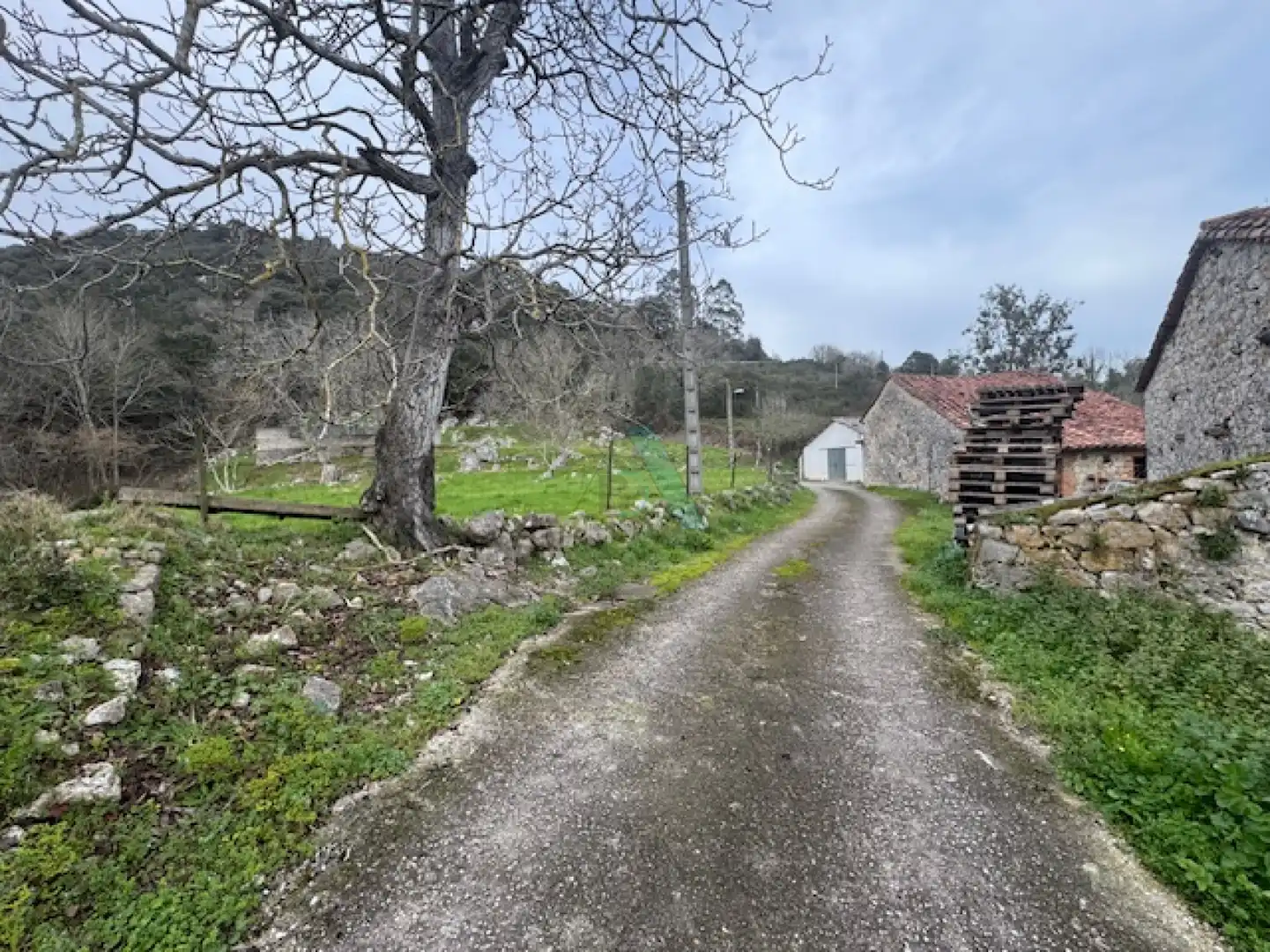 Terreno residencial en venta en ANDINAS, imagen 9