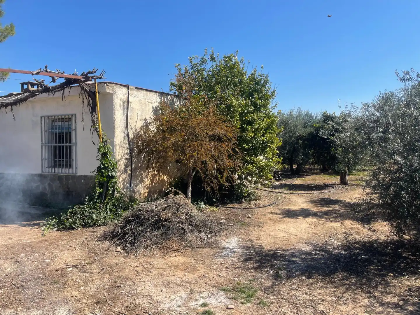 Finca rústica en venda en Albolote amb Piscina