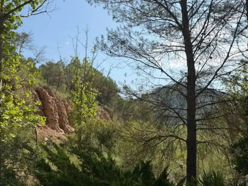 Pis de lloguer en Sallent amb Jardí privat, Piscina i Moblat