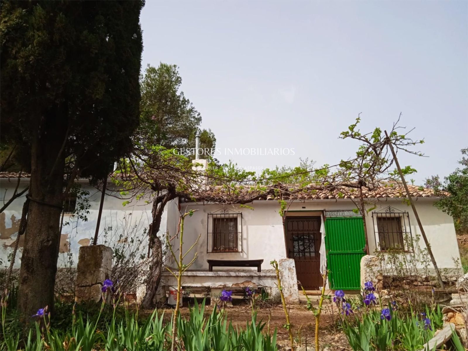 Jardí de Casa o xalet en venda en Alcoy / Alcoi amb Terrassa, Traster i Moblat