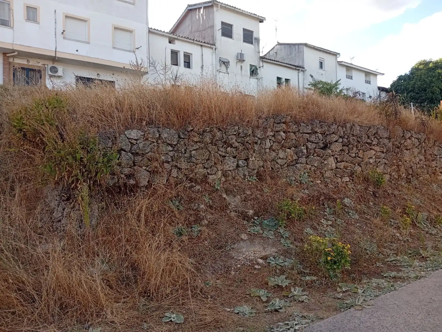 Terreni e lotti in vendita a Villanueva de la Vera, imagen 6