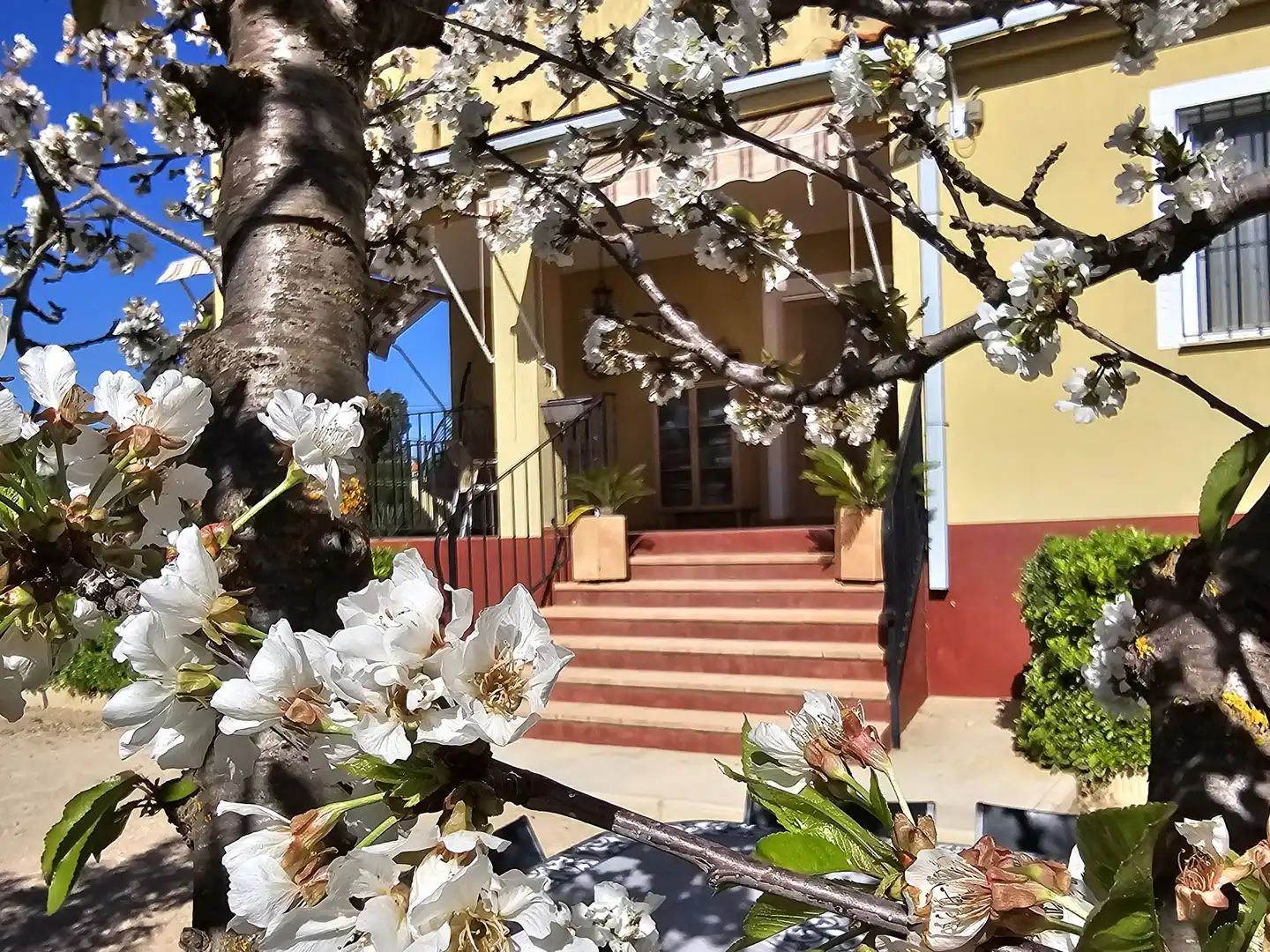Vista exterior de Casa o xalet en venda en Caudete amb Terrassa