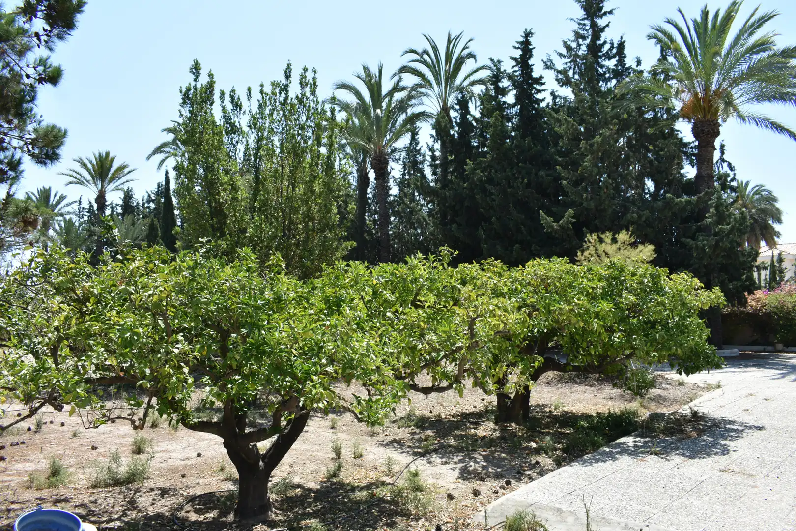 Casa o chalet en venta en Elche / Elx con Jardín privado y Amueblado