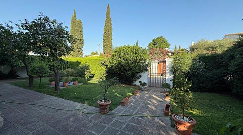 Foto 5 de Casa o xalet en venda a Calle Romero, 3, Aznalcázar, Sevilla