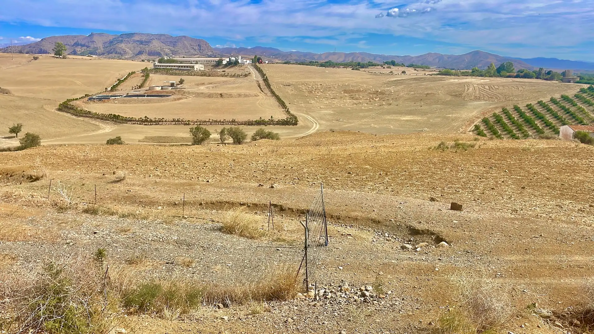 Grundstücke und Bauplätze zum Verkauf in Casalpalma - Fahala, imagen 3