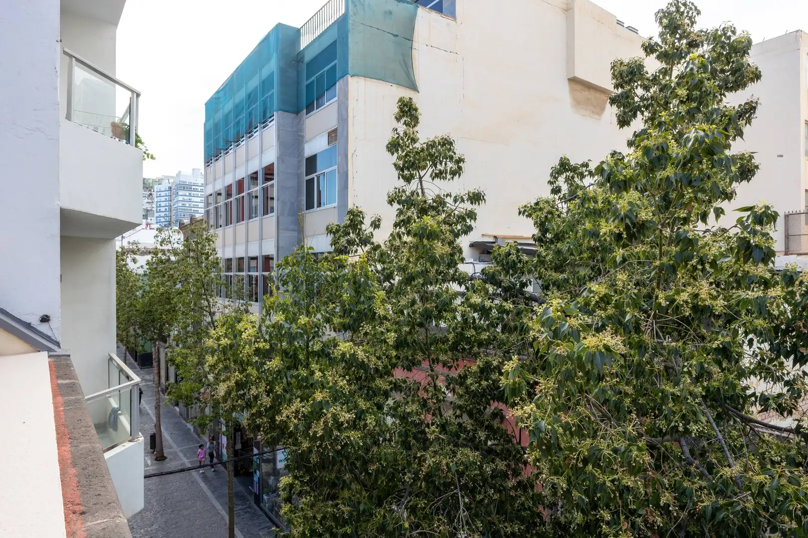 Exterior view of Attic for rent in Las Palmas de Gran Canaria  with Terrace