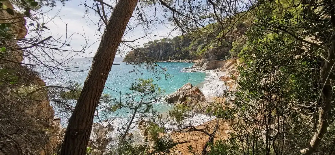Vista exterior de Residencial en venda en Tossa de Mar