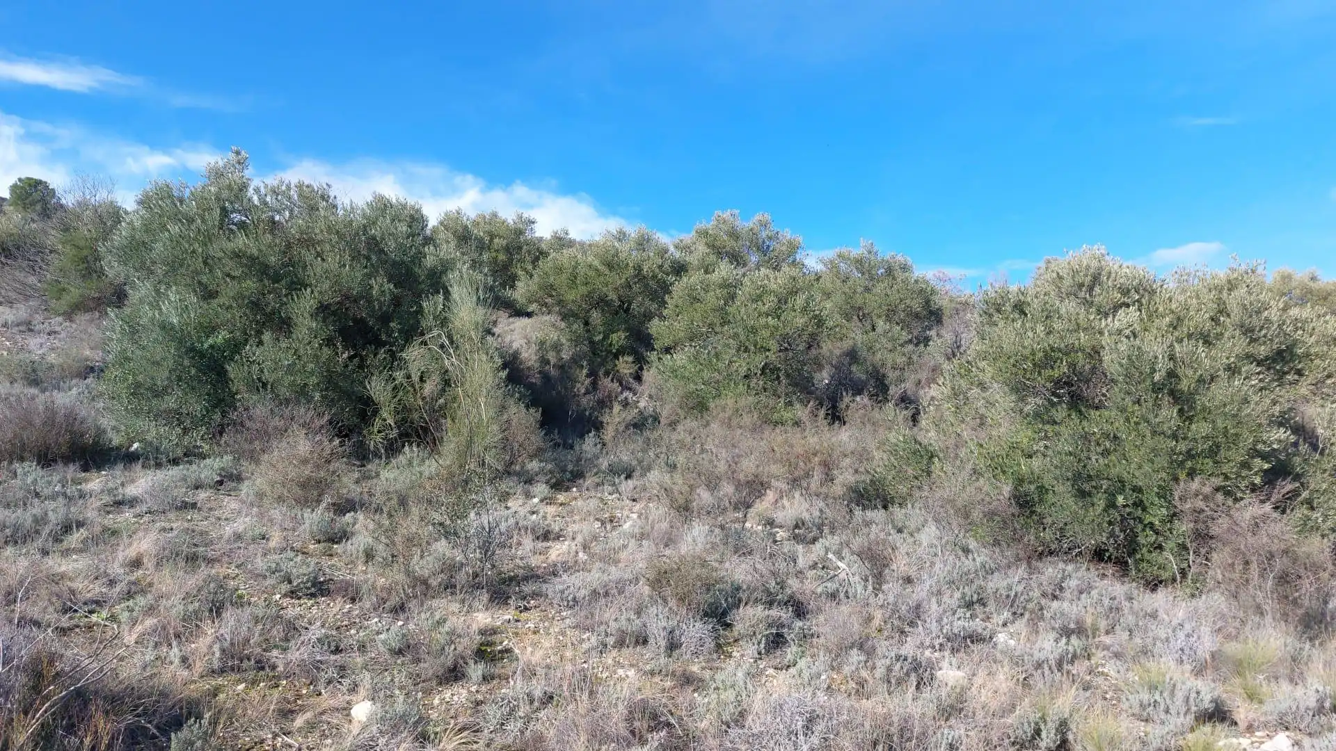 Grundstücke zur Miete in Loranca de Tajuña