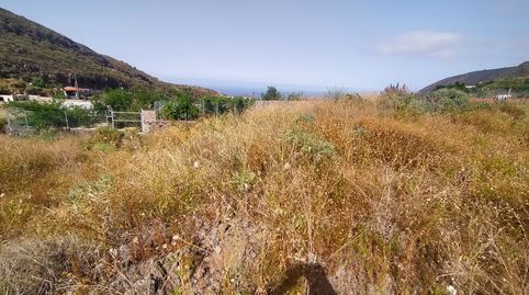 Foto 4 de Terreno en venta en Camino el Barranco, Centro, Güímar