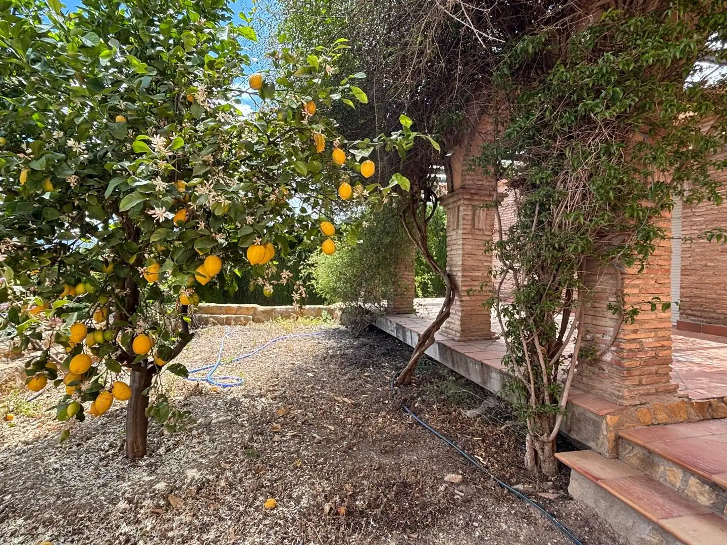 Detached house with pool for sale in CAMINO VIEJO DE MOTRIL, imagen 61