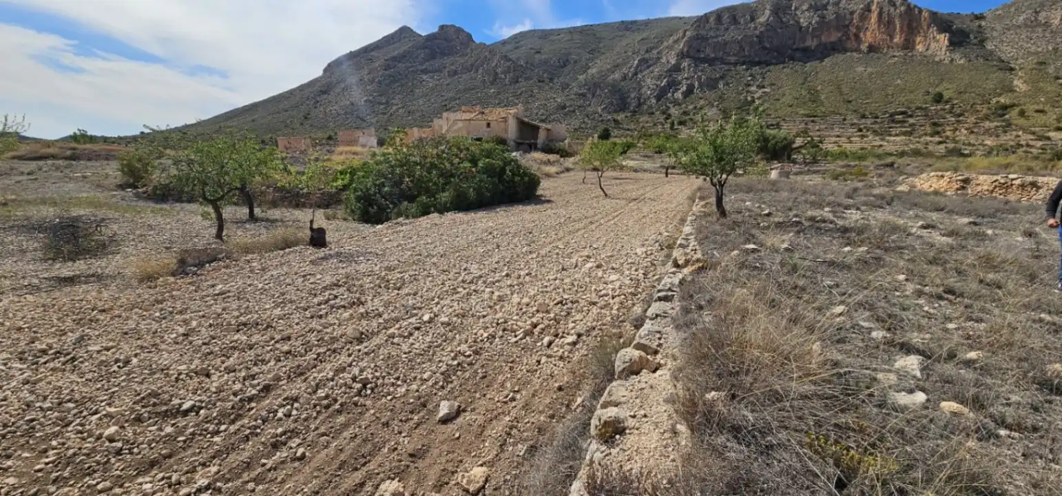 Wohnbaugrundstück zum Verkauf in Hondón de las Nieves / El Fondó de les Neus, imagen 4