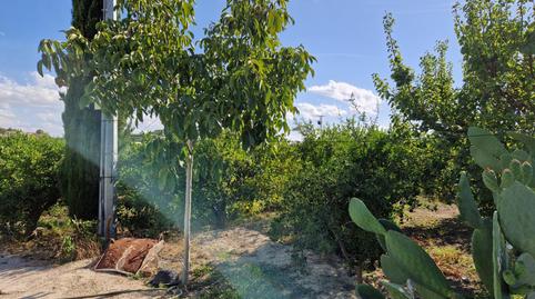 Photo 2 of Country house for sale in Villanueva del Río Segura, Murcia