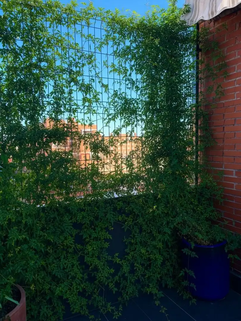 Exterior view of Duplexes for sale in Villafontana - Estoril I