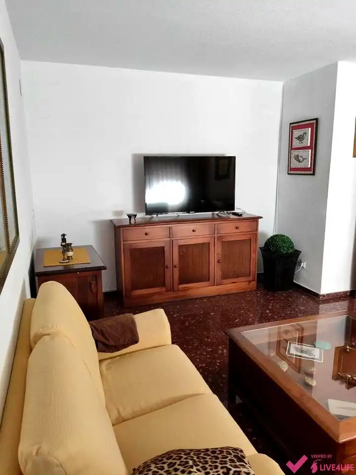 Living room of Flat for rent in Valencia  with Air Conditioner, Heating and Furnished