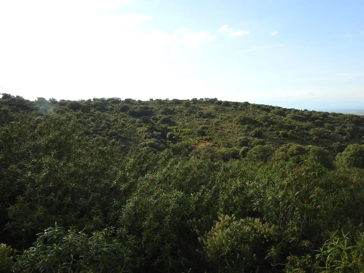 Land for sale in Belvís de la Jara
