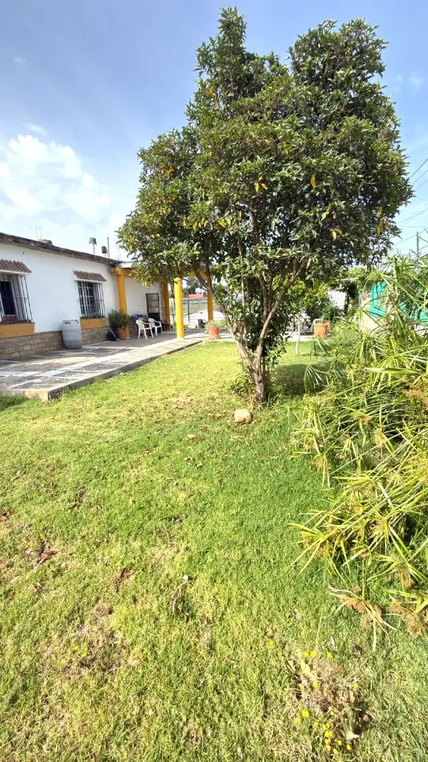 Jardí de Casa o xalet en venda en El Puerto de Santa María