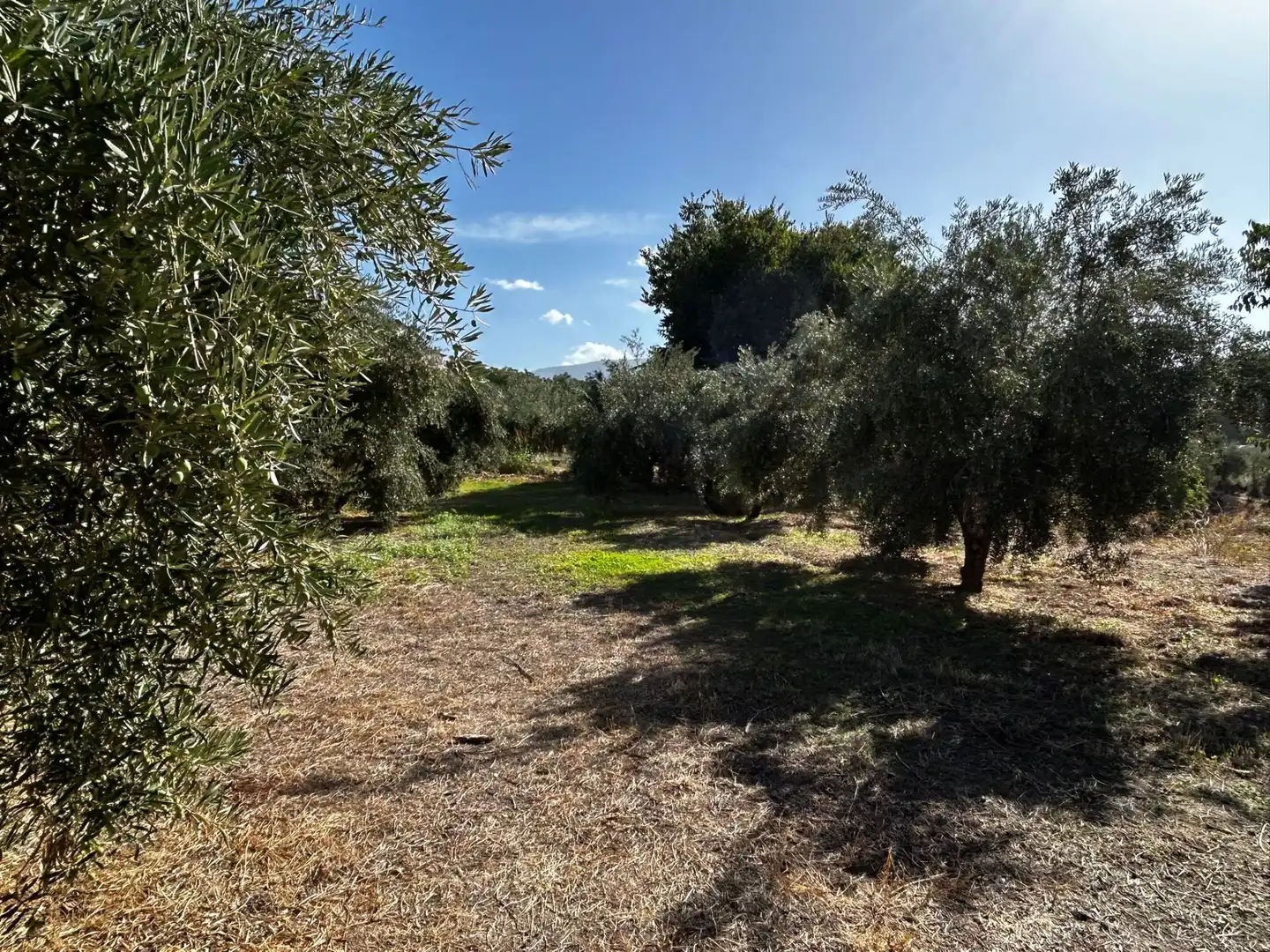 Terreni e lotti in vendita a Calicasas, imagen 7