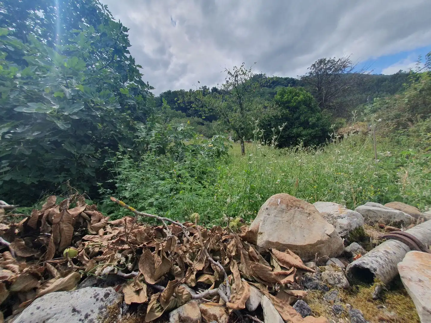 Terrenys i solars en venda a Belmonte de Miranda, imagen 3