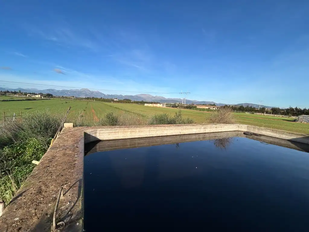 Swimming pool of Land for sale in Muro