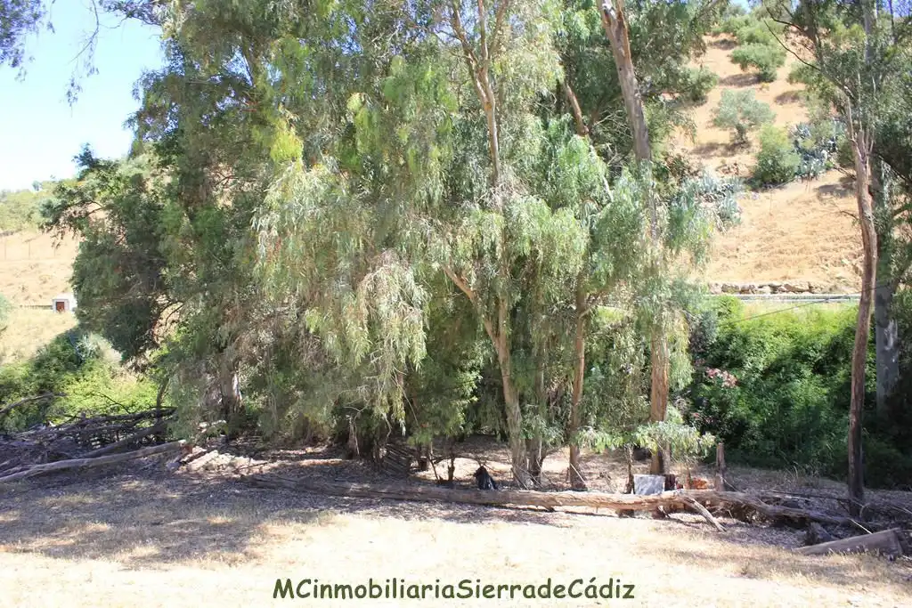 Casa rústica amb piscina en venda a N/A, imagen 45