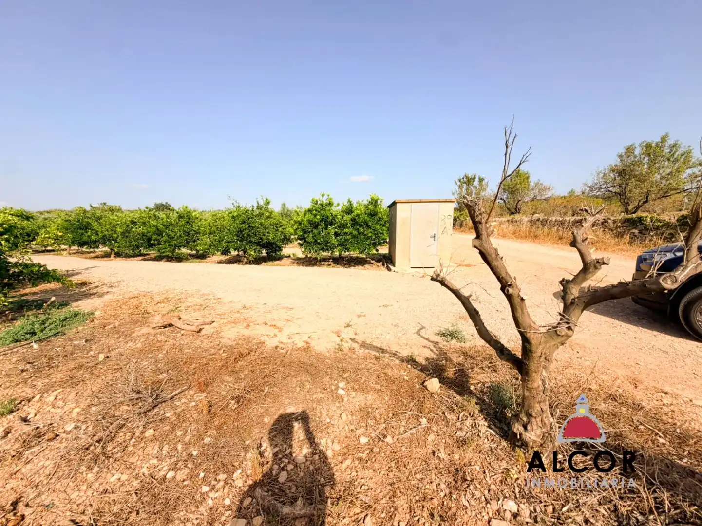 Terrenys i solars en venda a Cervera del Maestre, imagen 4
