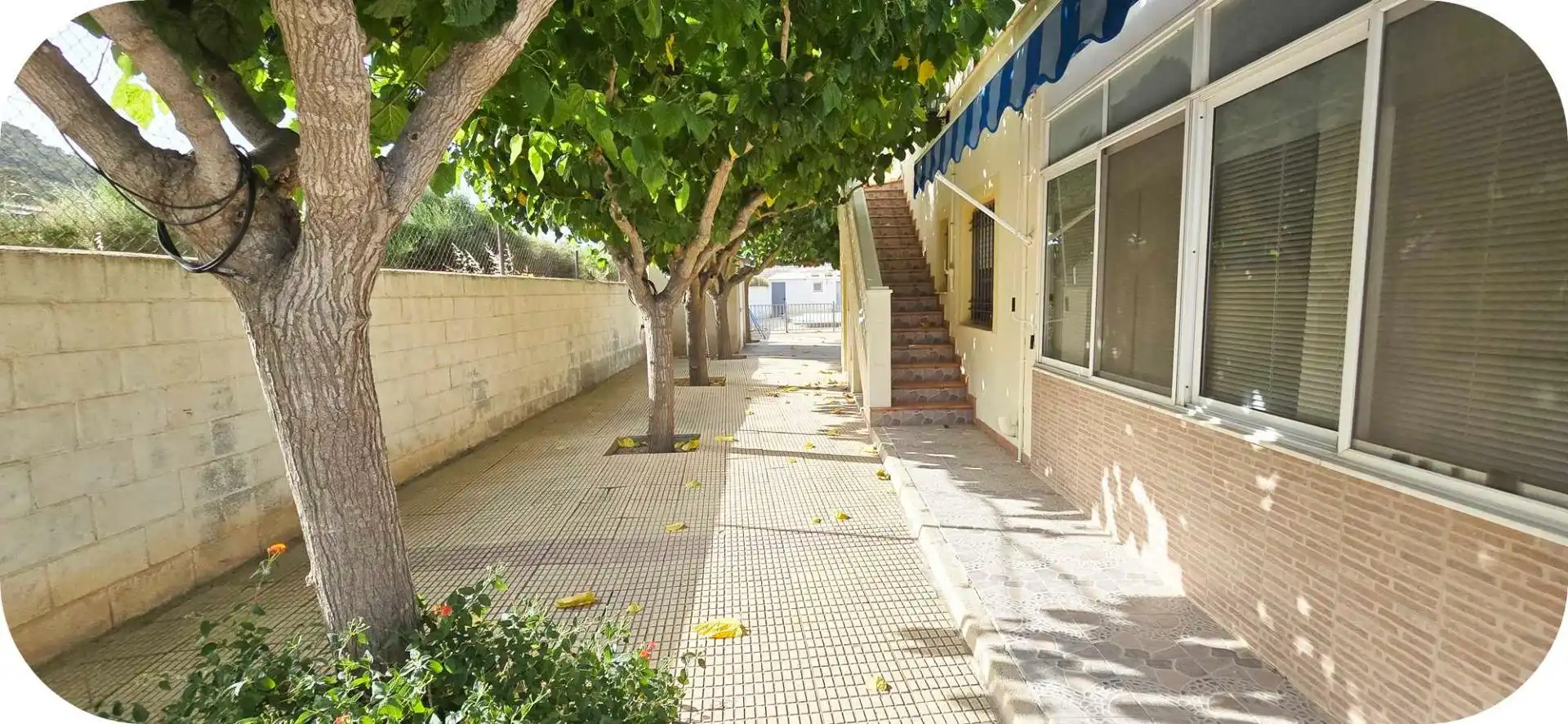 Vista exterior de Casa o xalet en venda en Novelda amb Aire condicionat, Jardí privat i Terrassa