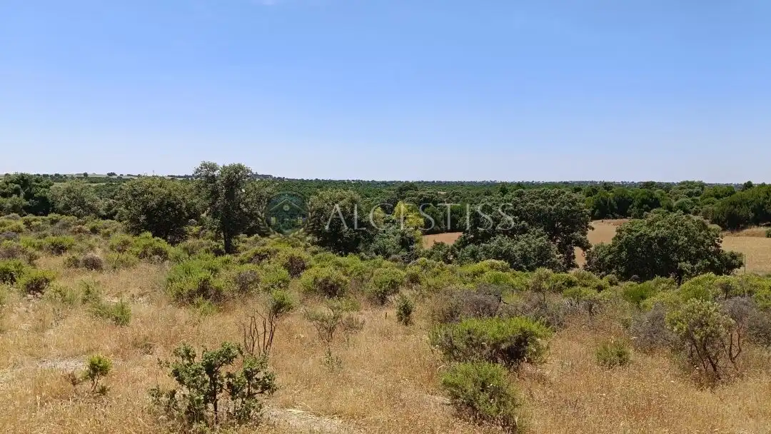 Terreno en venta en La Torre de Esteban Hambrán