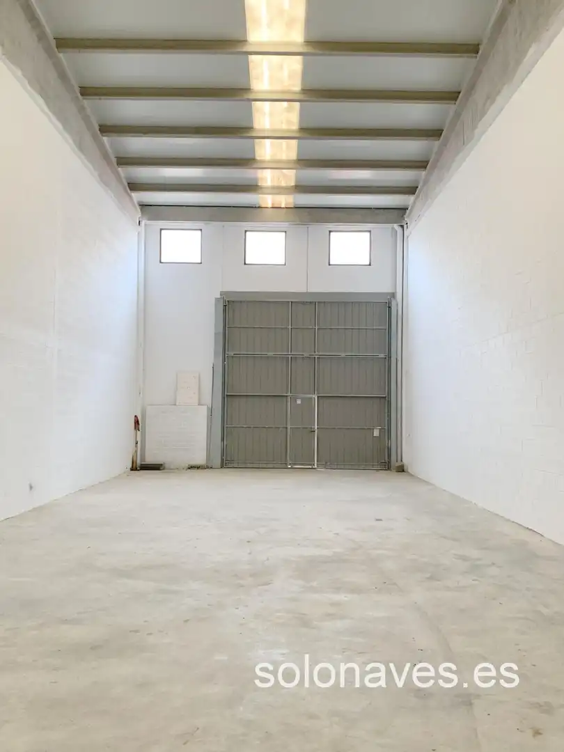 Nave industrial in affitto a Barrios rurales del Sur, imagen 3