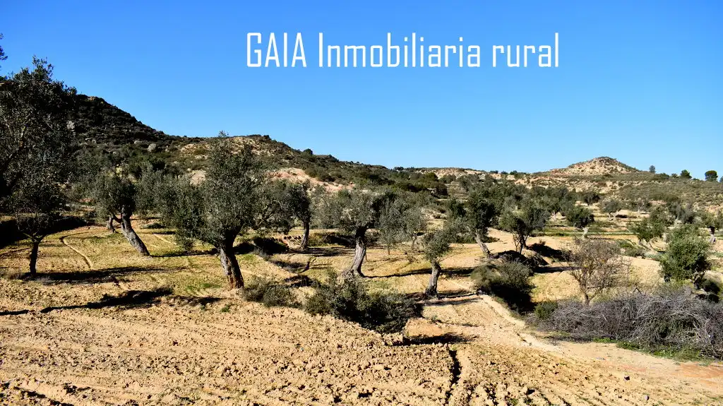 Casa rústica en venda a Maella, imagen 6