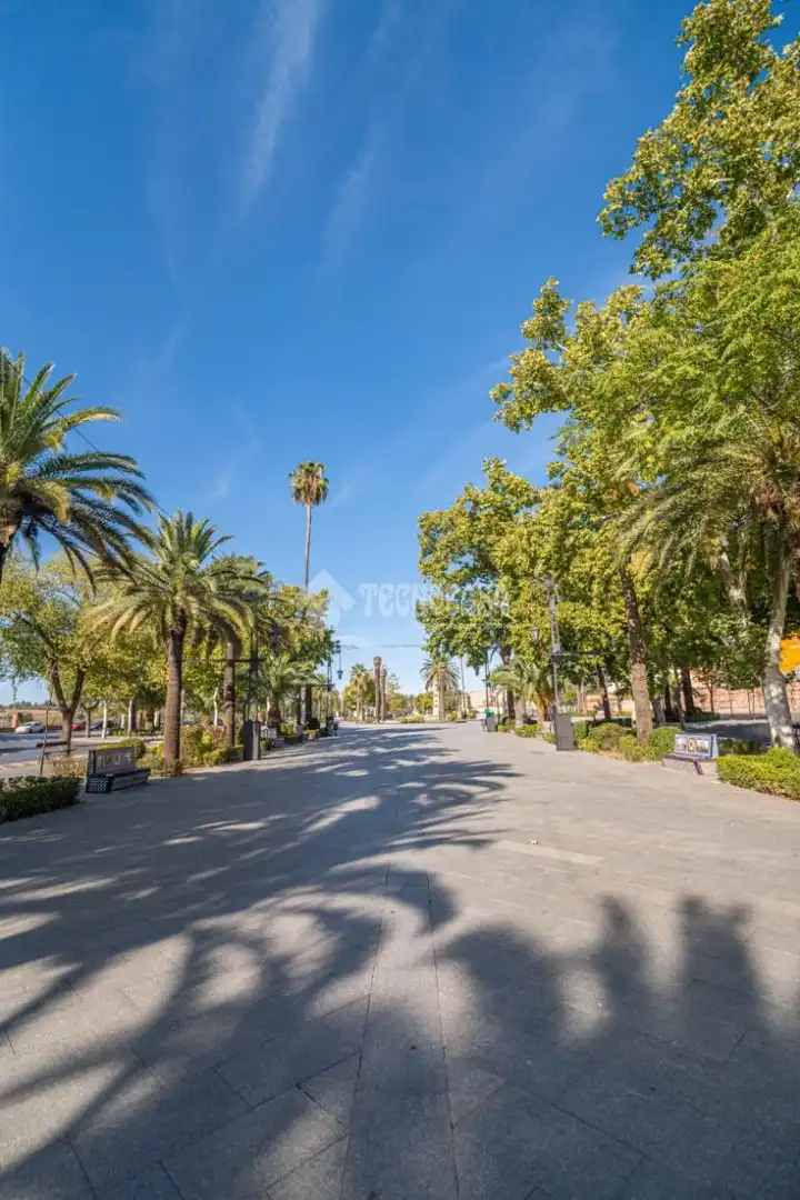 Local comercial en venta en Linarejos, imagen 16