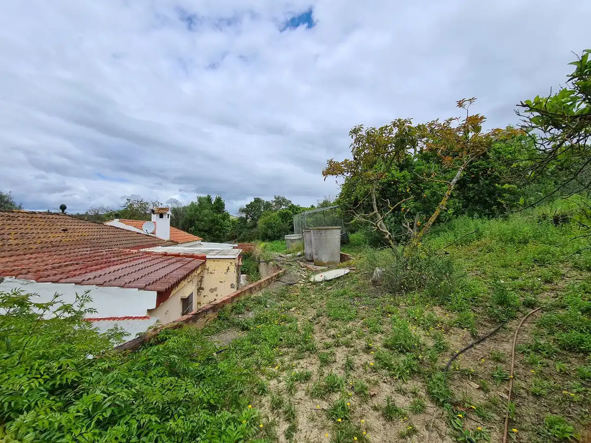 Casa o xalet en venda a San Martín del Tesorillo