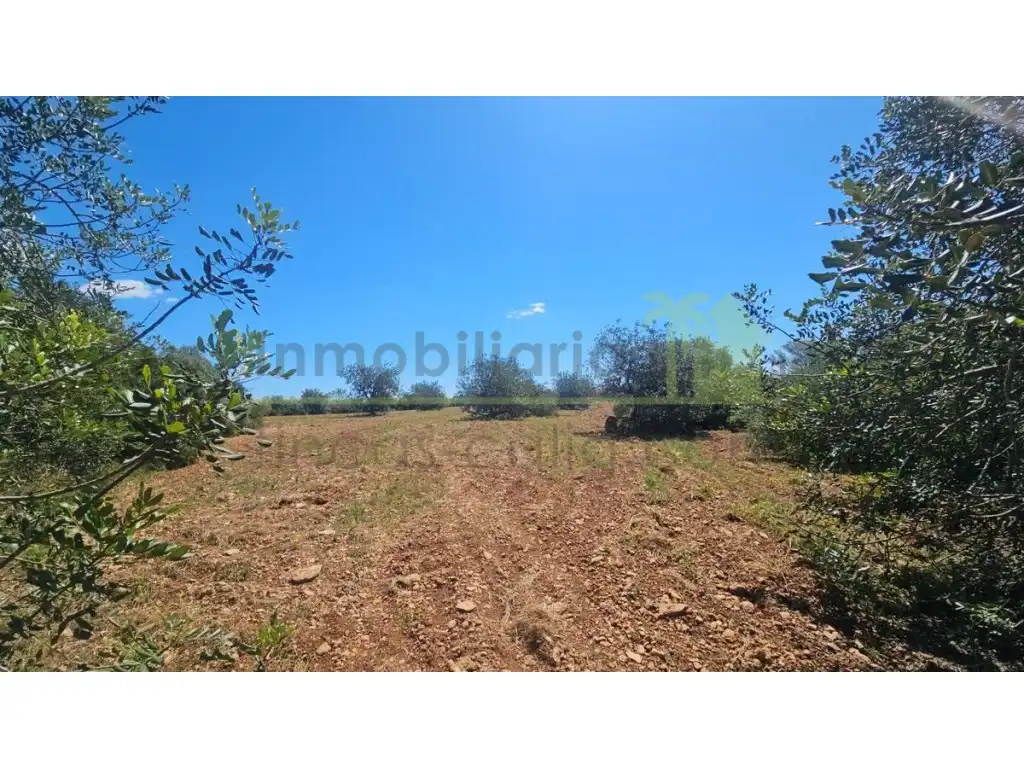 Terreny residencial en venda a Càlig, imagen 6
