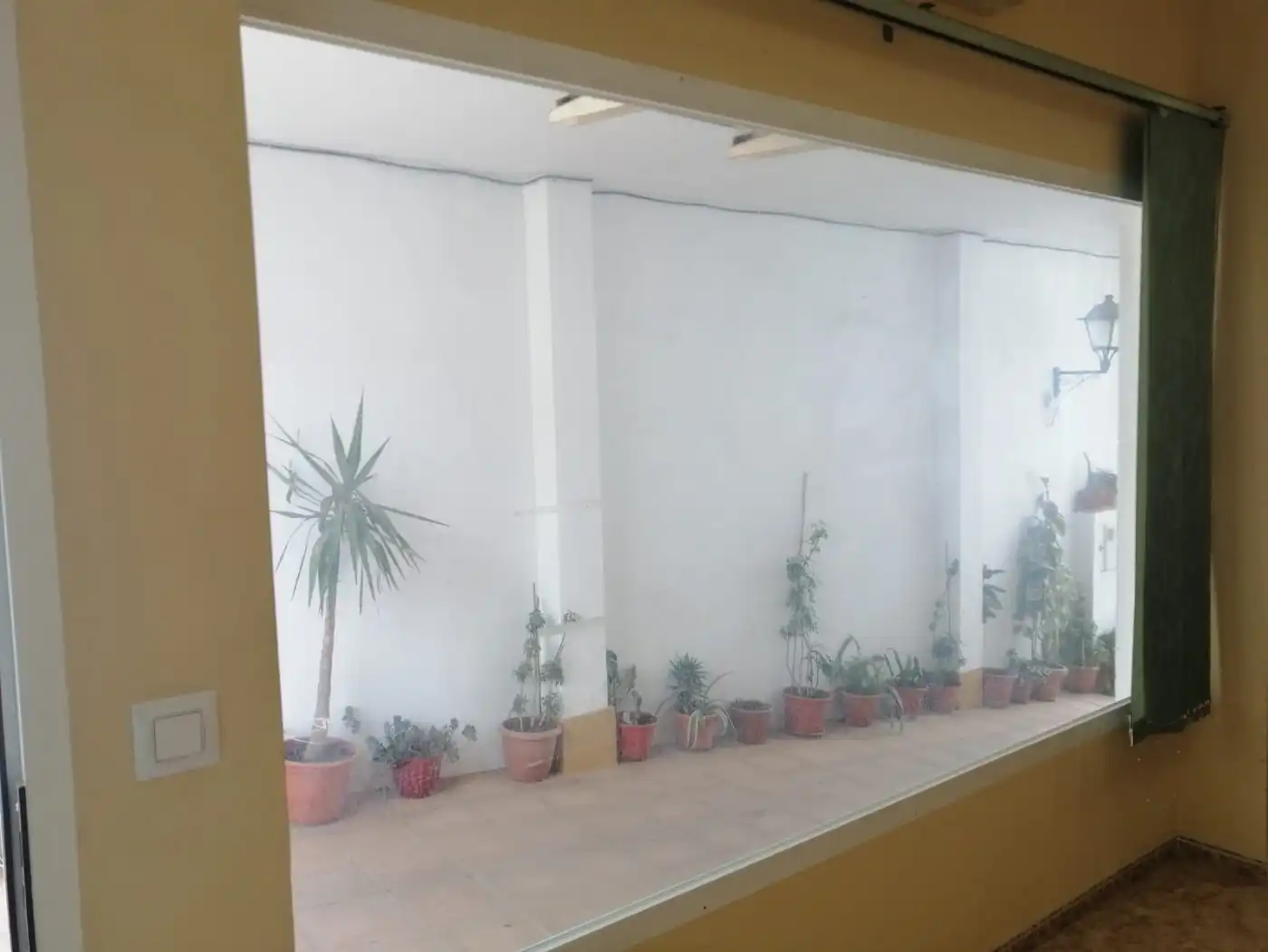 Local comercial en venta en El Carpio, imagen 3