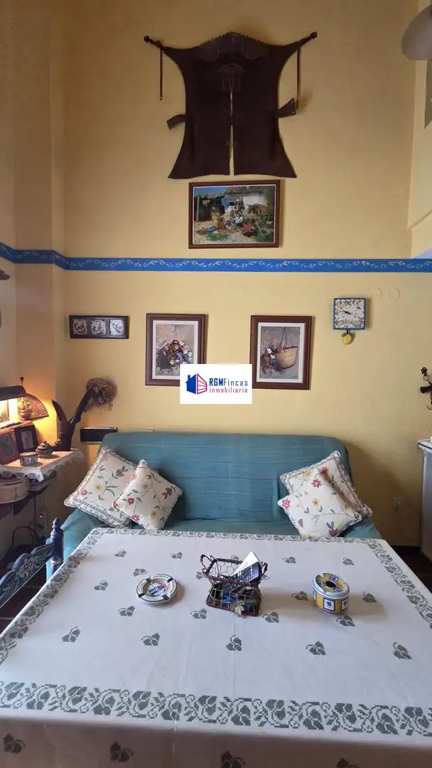 Duplex con terrazza in vendita a El Rocío, imagen 7