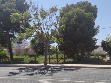 Terreno residenziale in vendita a Carretera d'Artà 146