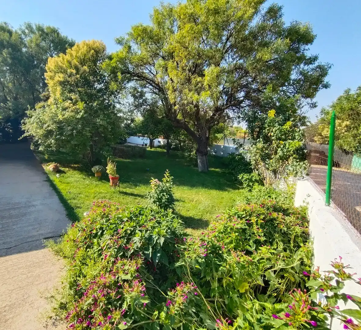 Finca rústica en venta en M-313, Morata de Tajuña