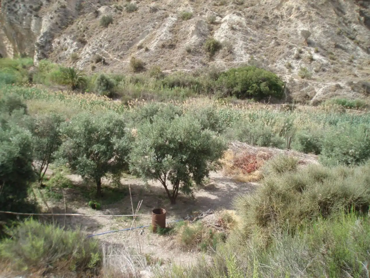 Terreni e lotti in vendita a MONEGRE, imagen 9