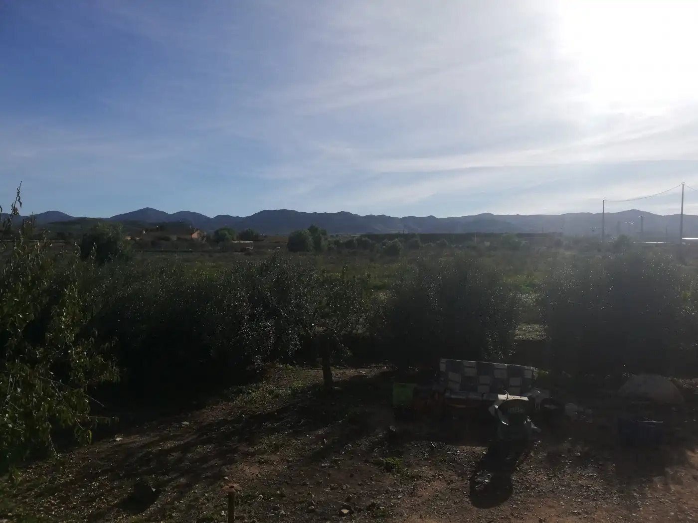 Houses for sale in Lorca  with Private garden