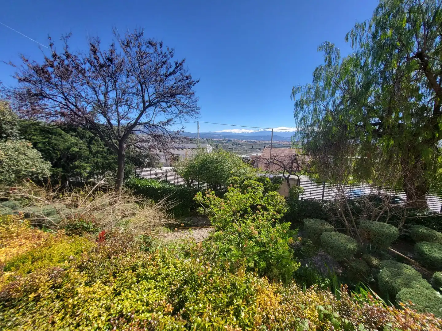 Vista exterior de Casa o xalet en venda en Albolote amb Aire condicionat, Calefacció i Jardí privat
