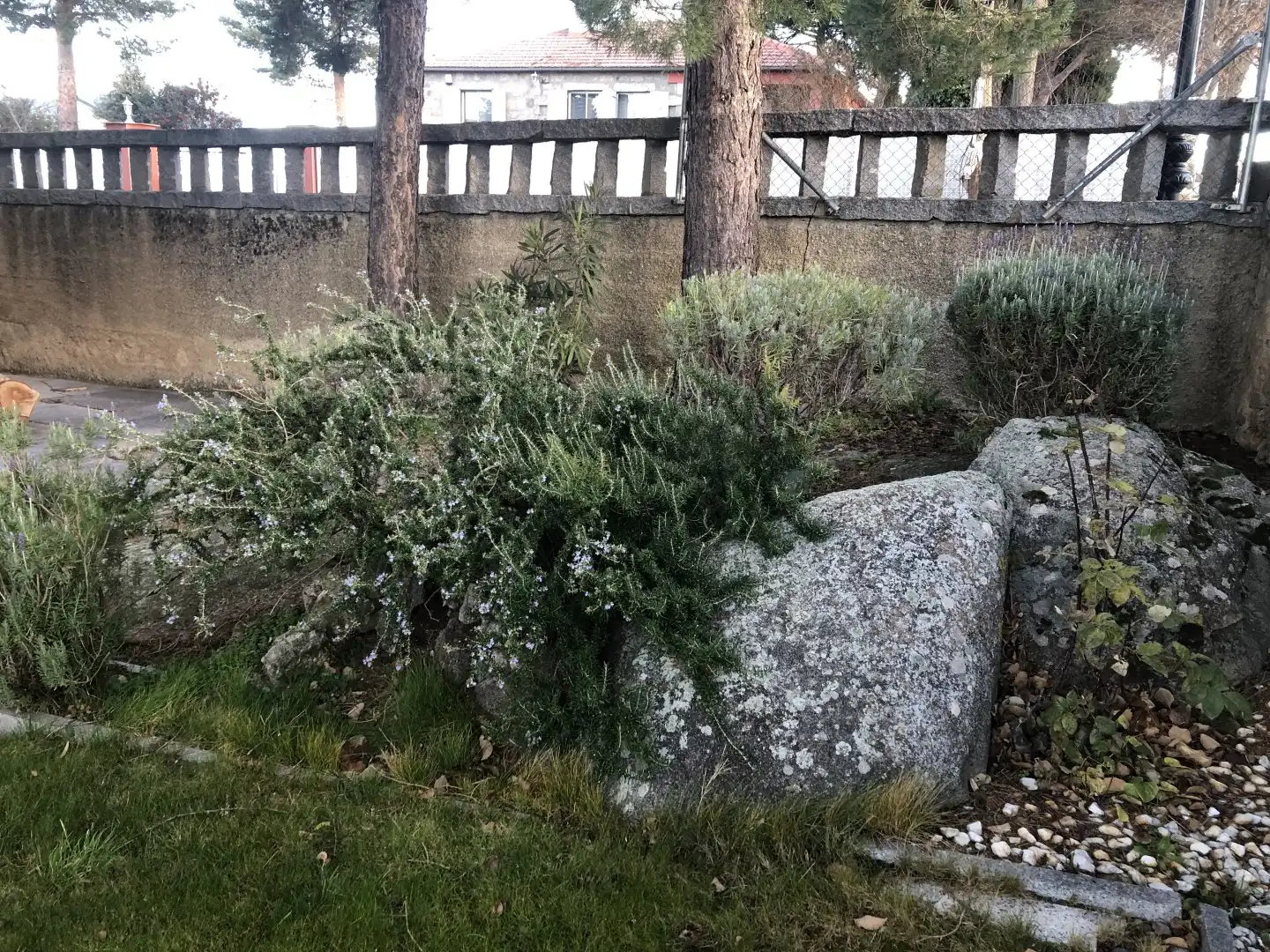 Jardín de Casa o chalet en venta en Otero de Herreros con Calefacción, Jardín privado y Terraza