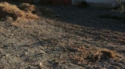 Foto 4 de Terreno en venta en Moriles, Córdoba
