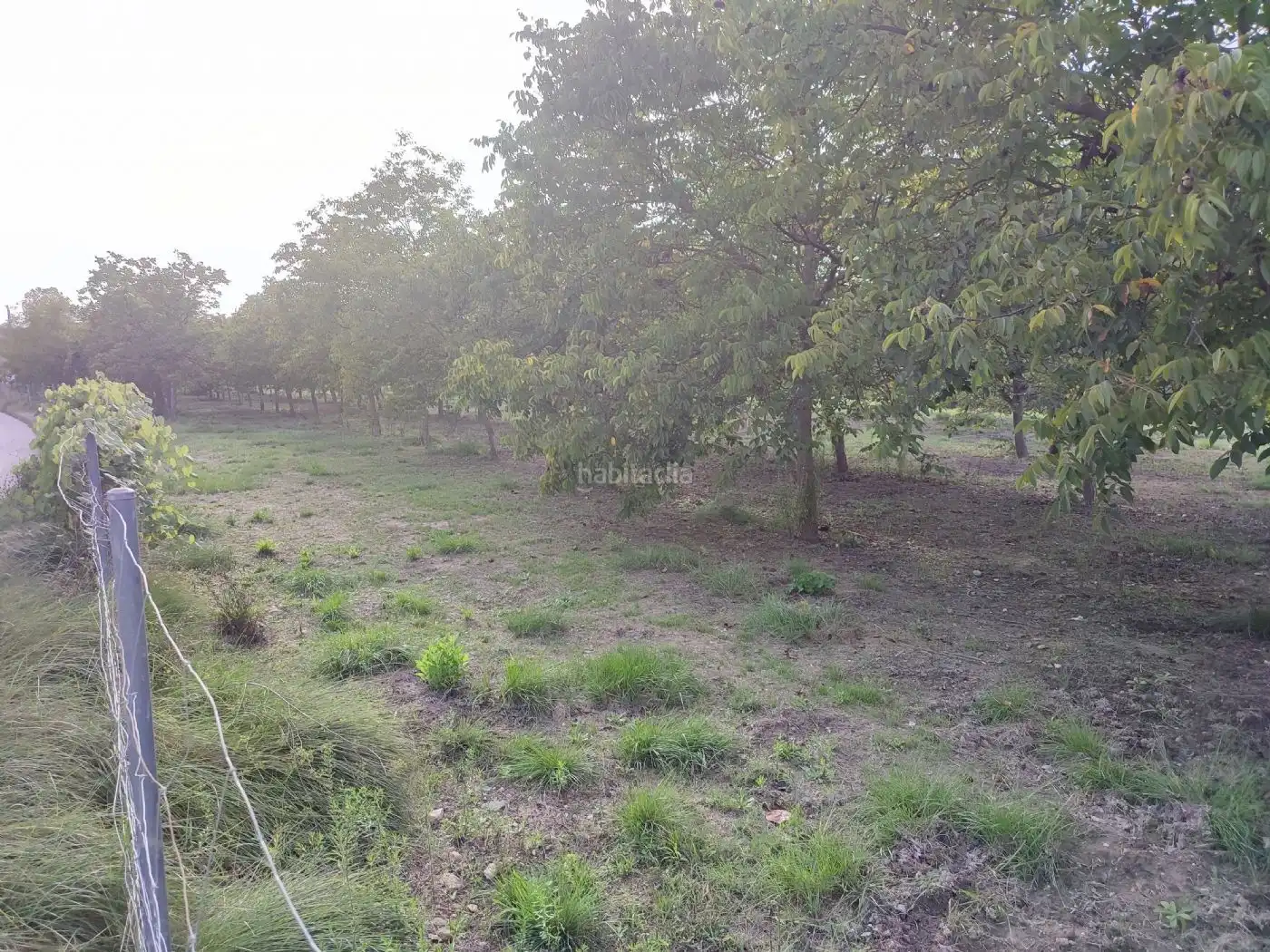 Terrain rustique à vendre à Plaça Numero 20 256