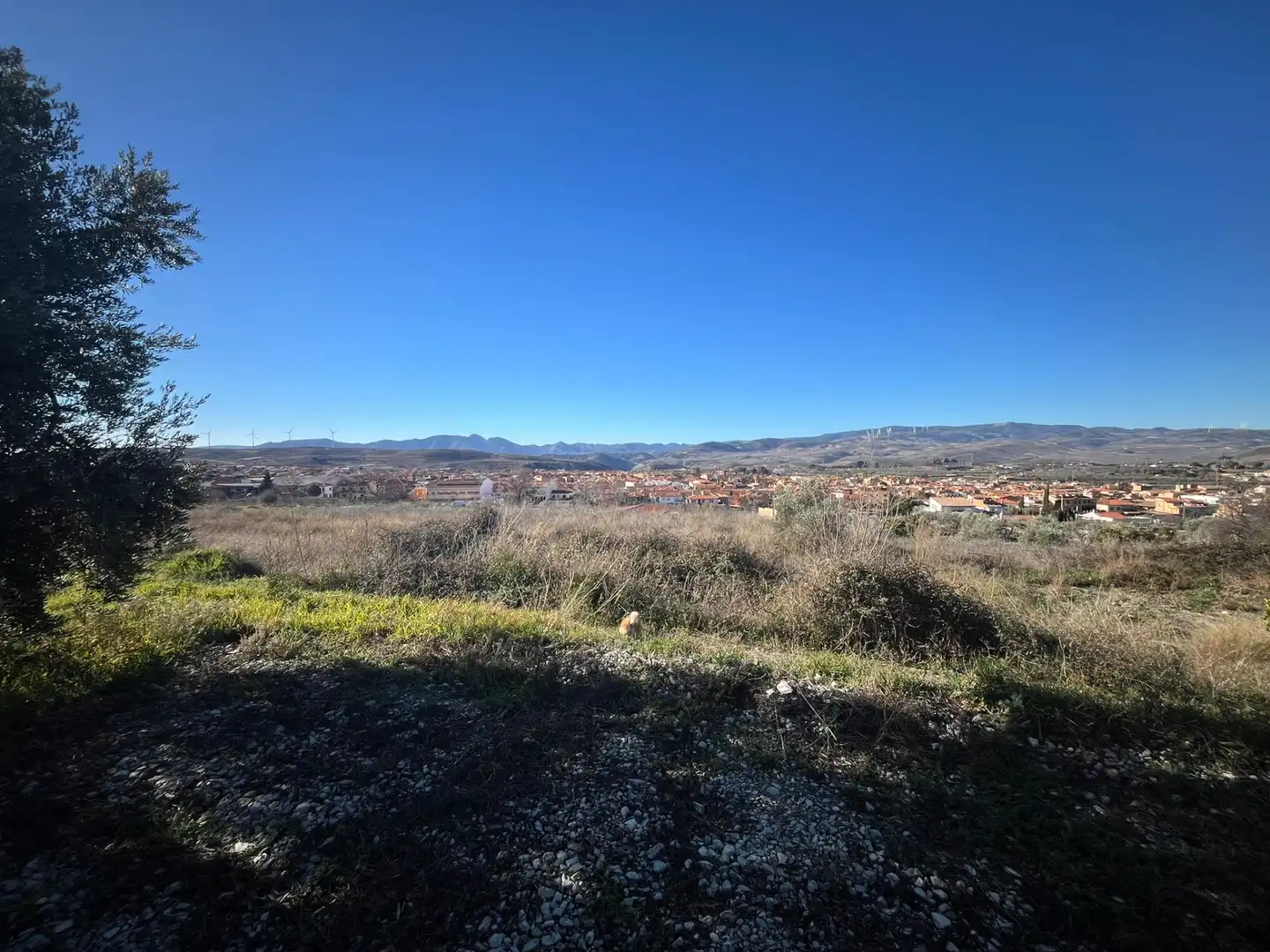 Rural land for sale in Calle Jose Saramago 2, imagen 6