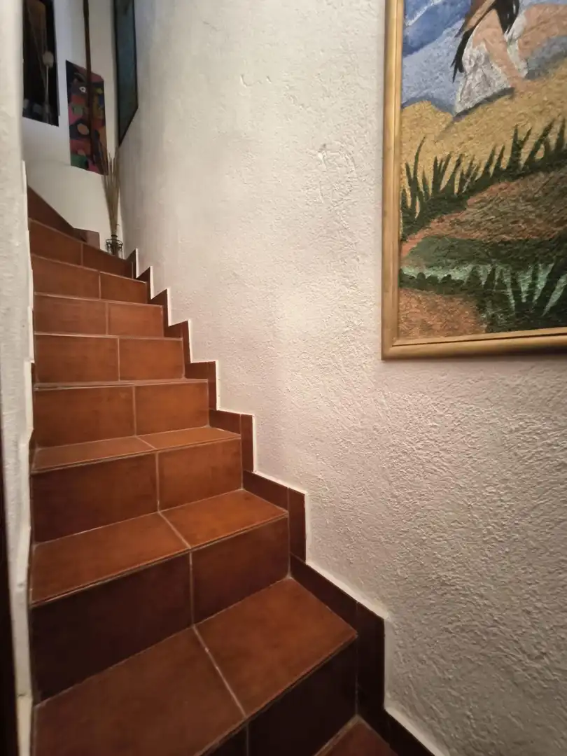 Casa con jardín en venta en Fuente Obejuna, imagen 17