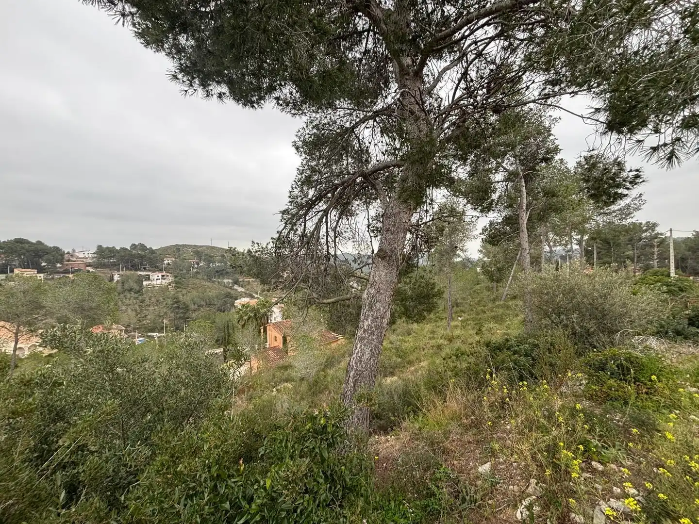 Wohnbaugrundstück zum Verkauf in Olivella, imagen 27