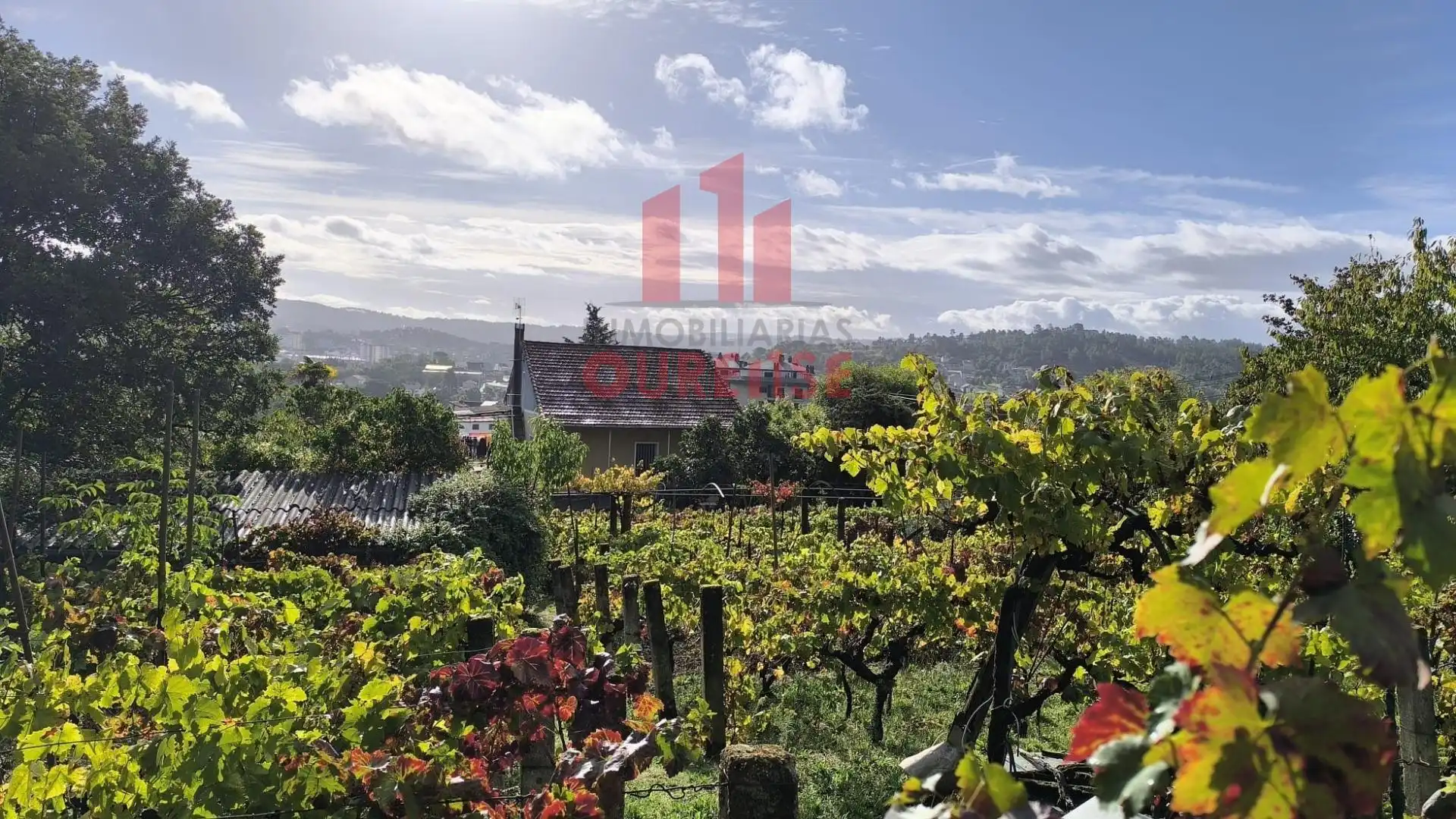 Exterior view of Houses for sale in Ourense Capital   with Private garden, Terrace and Storage room