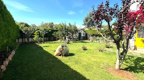 Foto 3 de Casa o chalet en venta en Carretera de Ľ Estación, 3, Las Atalayas - Urmi - Cerro de Mar, Peñíscola / Peníscola